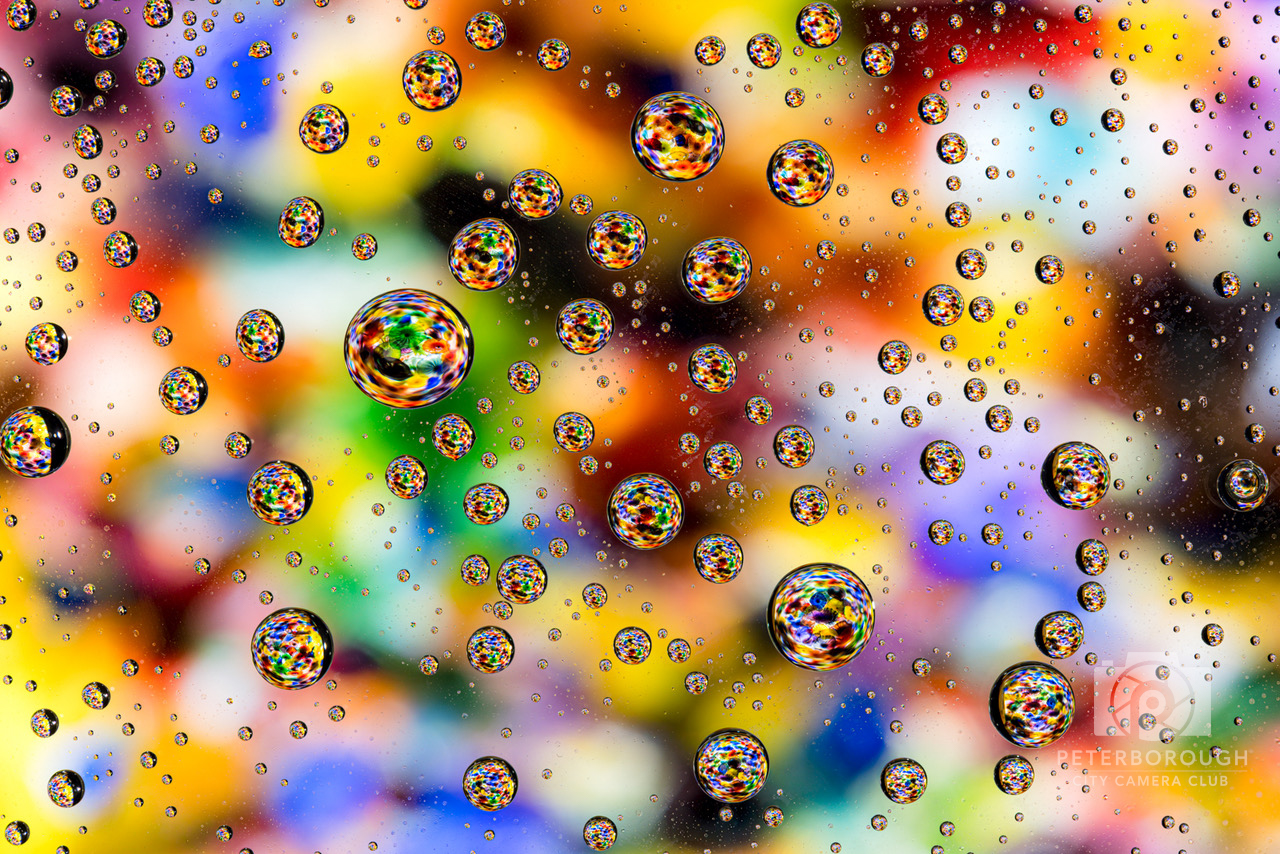 A Canvas of Liquid Jewels
