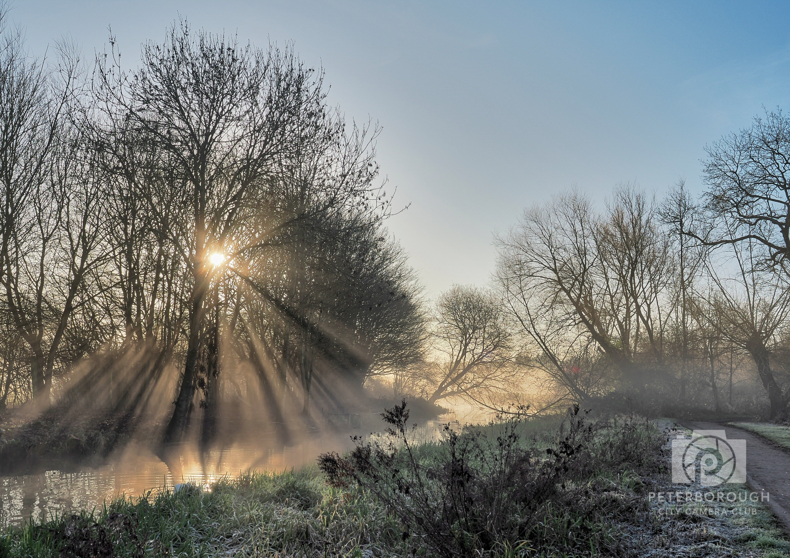 Misty Morning Sunbeams