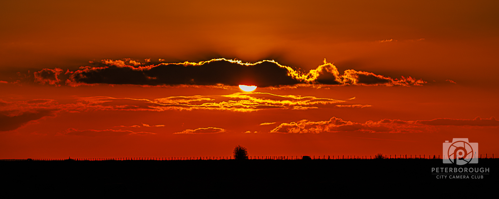 Orange Sunset