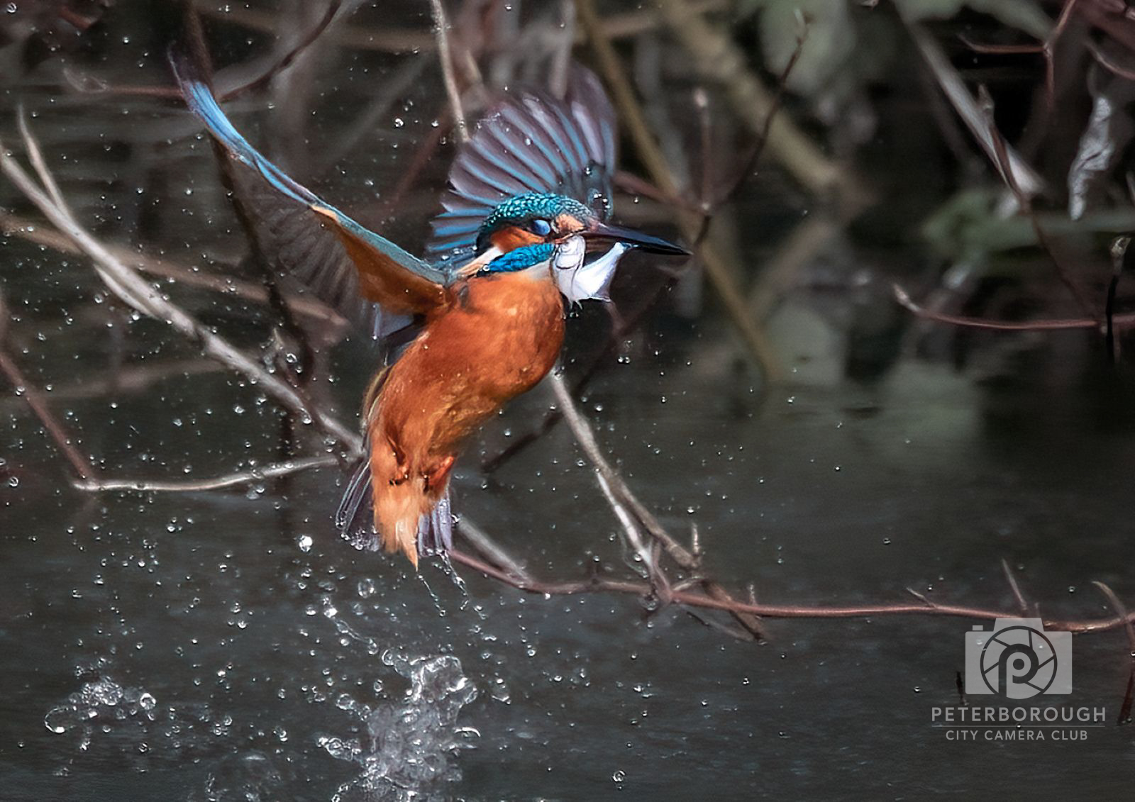 Splash and Grab