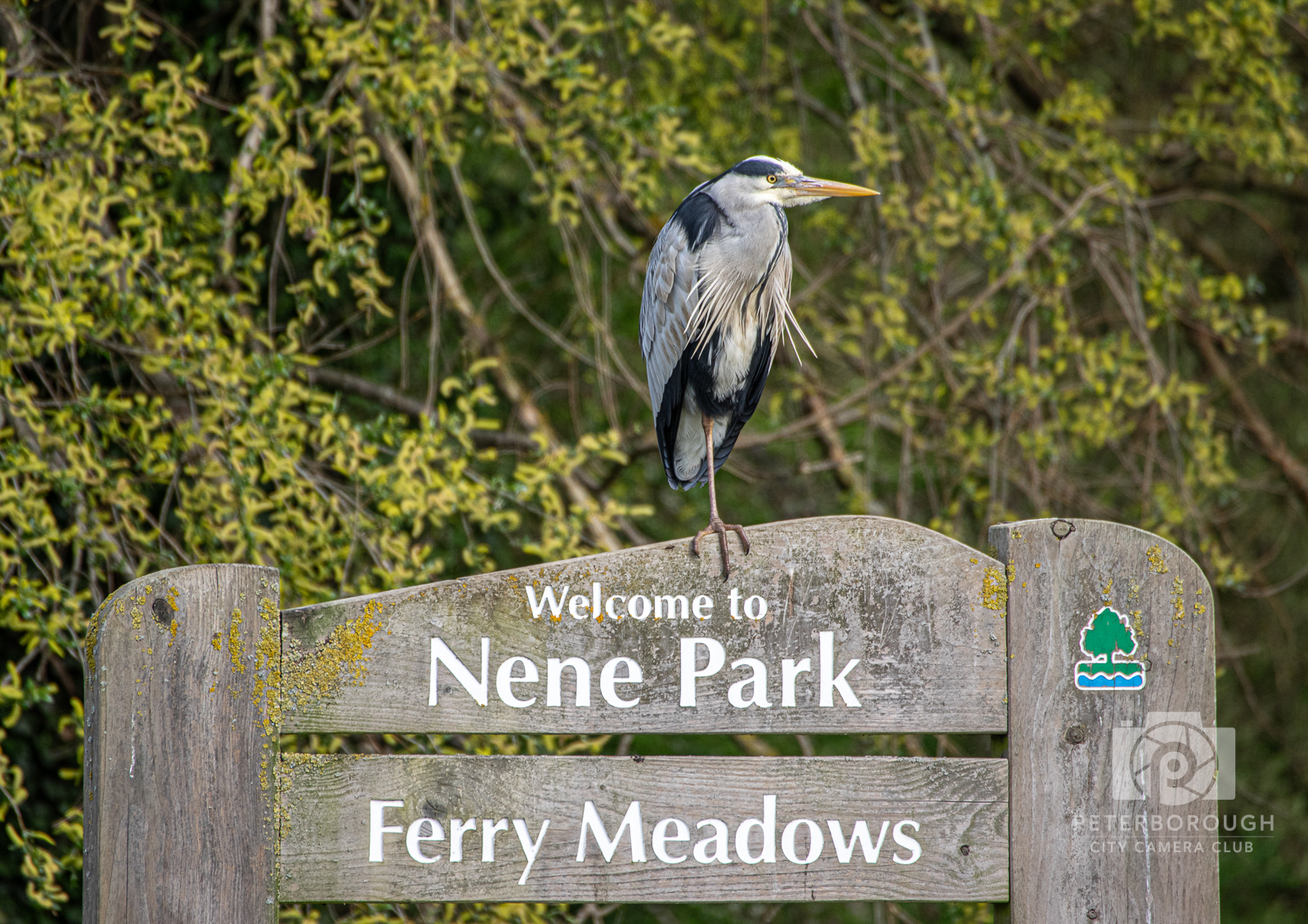 Welcome to Nene Park